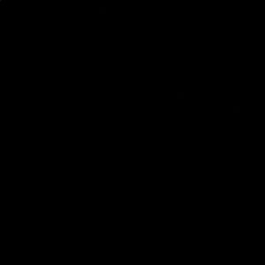 Meet your Posher, Jaylen